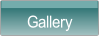 Gallery.