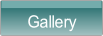 Gallery.